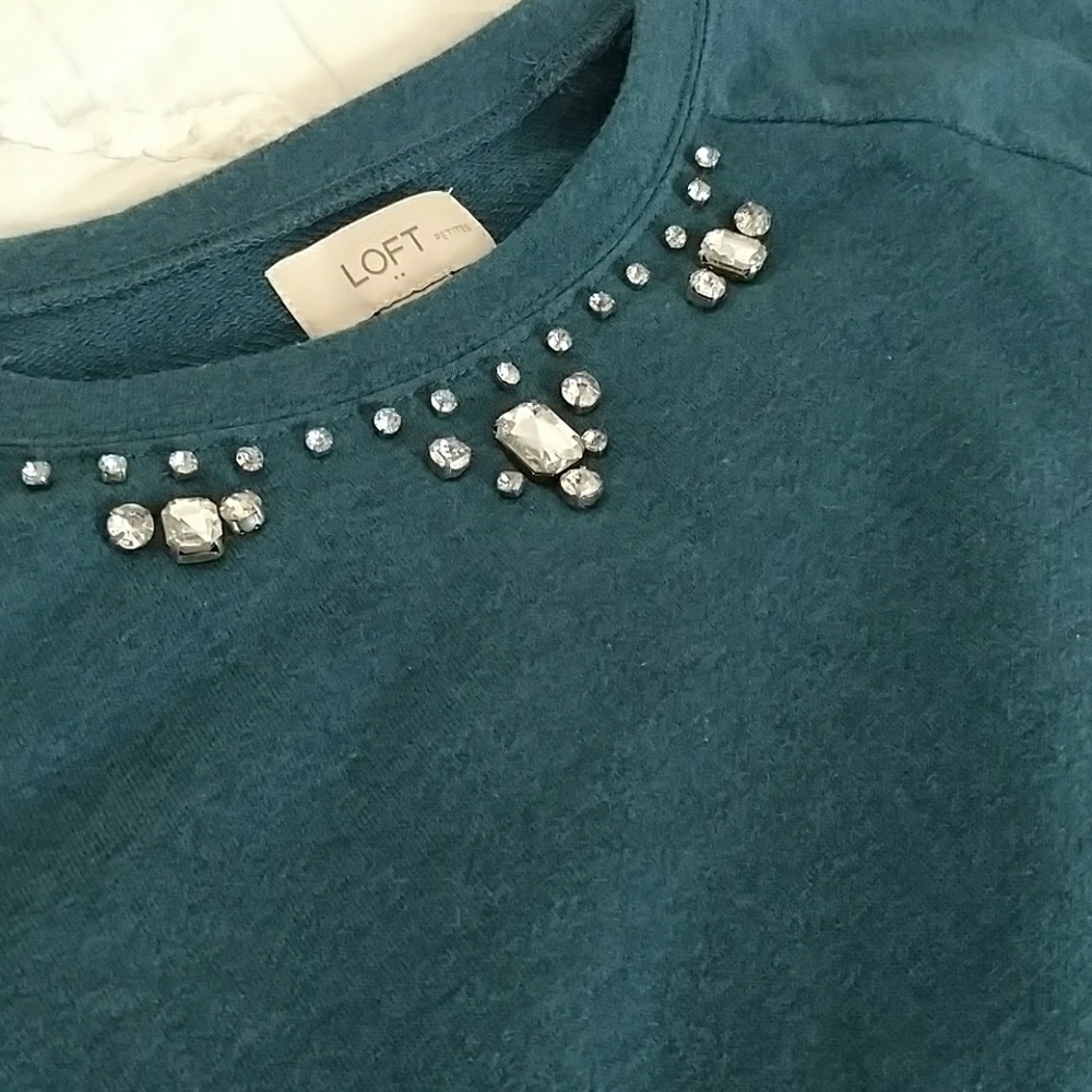 Loft Jewel Accent Sweater